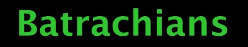 Batrachians Home Page